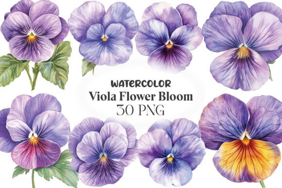 Download Viola Flower Bloom Clipart - Viola flower Collection