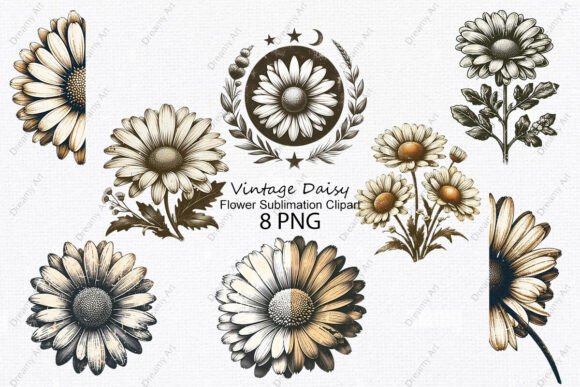 Download Vintage Daisy Flower Sublimation Clipart - Sublimation clipart Collection