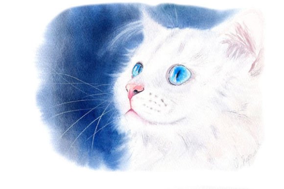 Download White Kitty Digital Prints PNG Files - Digital Collection