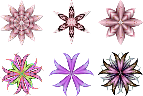 Download Digital Flowers - Digital Collection