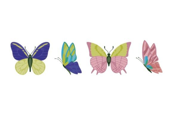 Download Butterflies Illustrations Collection - Butterflies illustrations Collection