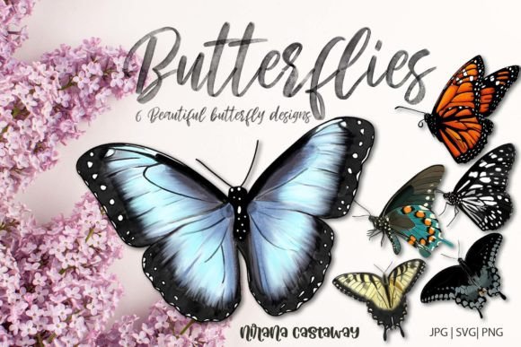 Download 6 Beautiful Butterflies Illustrations - Butterflies illustrations Collection