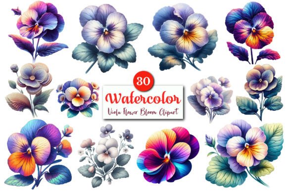 Download Viola Flower Bloom PNG Clipart Bundle. - Viola flower Collection