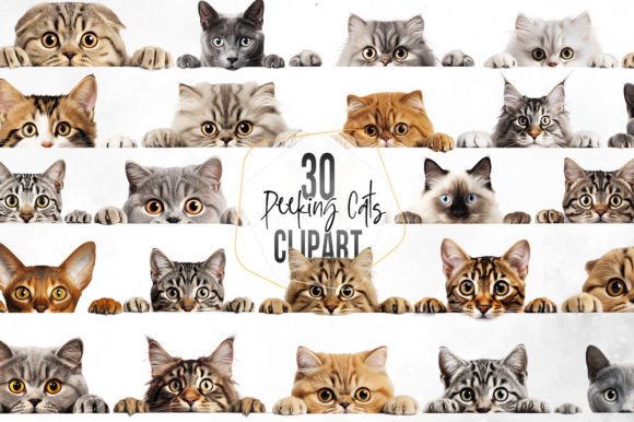 Download Peeking Cats Sublimation Clipart - Sublimation clipart Collection