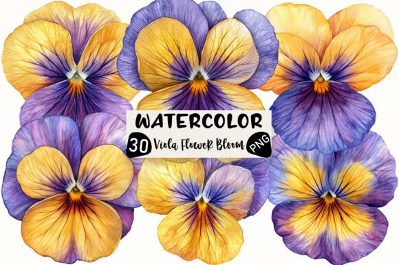 Download Viola Flower Bloom Clipart - Viola flower Collection