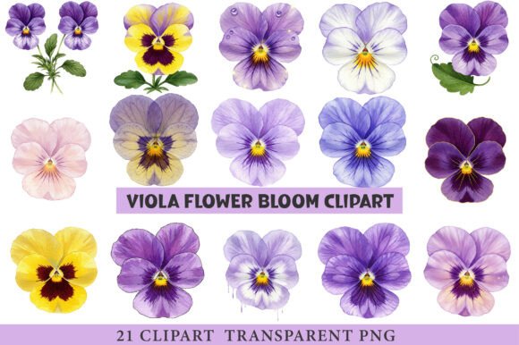 Download Viola Flower Bloom Clipart - Viola flower Collection