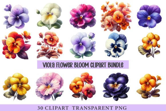 Download Viola Flower Bloom - Viola flower Collection