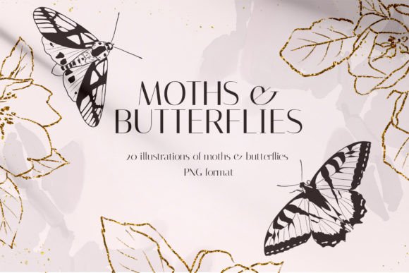 Download MOTHS &amp; BUTTERFLIES Illustrations - Butterflies illustrations Collection