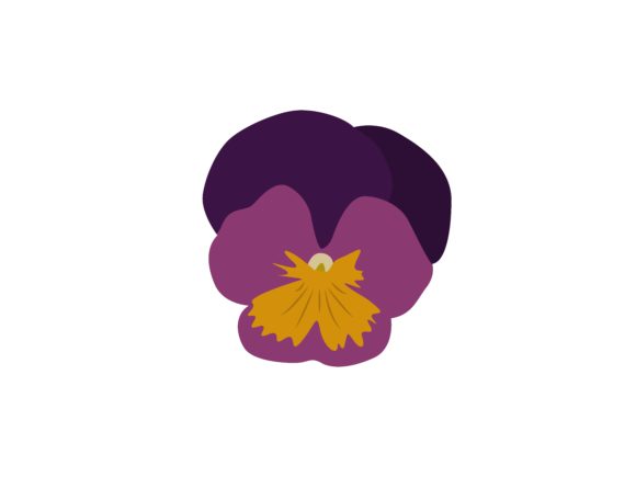 Download Viola Flower - Viola flower Collection