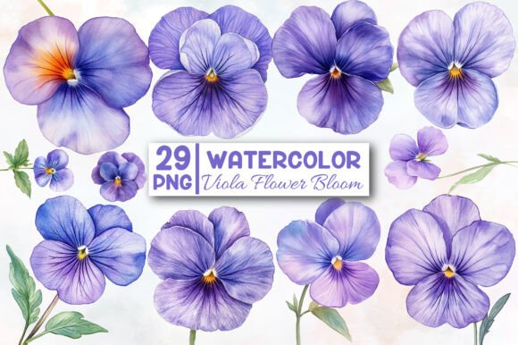 Download Viola Flower Bloom Clipart - Viola flower Collection