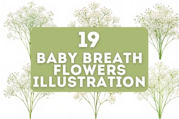 Download 19 Baby Breath Flowers Illustration - Flowers illustration Collection