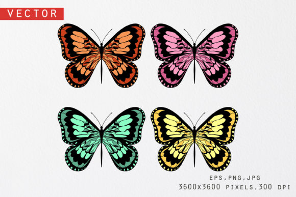 Download Butterflies Illustrations Set - Butterflies illustrations Collection