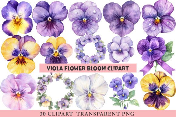 Download Viola Flower Bloom Clipart - Viola flower Collection